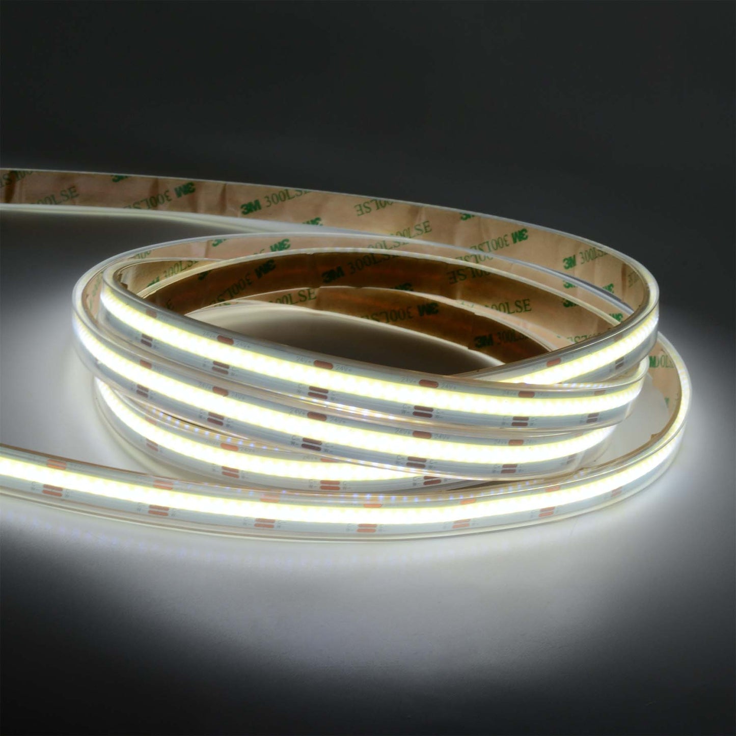 LED COB Strip Light, Seamless, 5M Reel, IP20/IP65, 24V, 10mm/12mm Wide, CCT