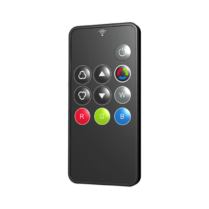 1 Zone RGB/RGBW Remote Control 2.4GHz RF RM3