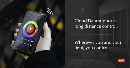  LED 12-24V DC 5 In 1 Wifi Controller Tuya APP 5CH*3A 2.4GHz RF WT5