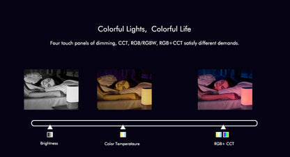  LED 12-24V DC Dimming/CCT/RGB Controller V3 + 4 Zone Panel Remote Control 2*AAA Battery T24
