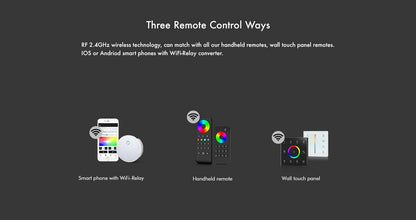  LED 12-24V DC Dimming/CCT/RGB/RGBW Controller VP + 4 Zone Panel Remote Control 2*AAA Battery T24