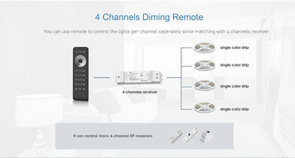  LED 12-24V DC Dimming/CCT/RGB/RGBW Controller VP + 8 Zone Remote Control RS8