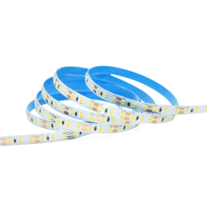  LED 2835 Strip Light, 5M Reel, IP20, 12V, 120 LEDs/M