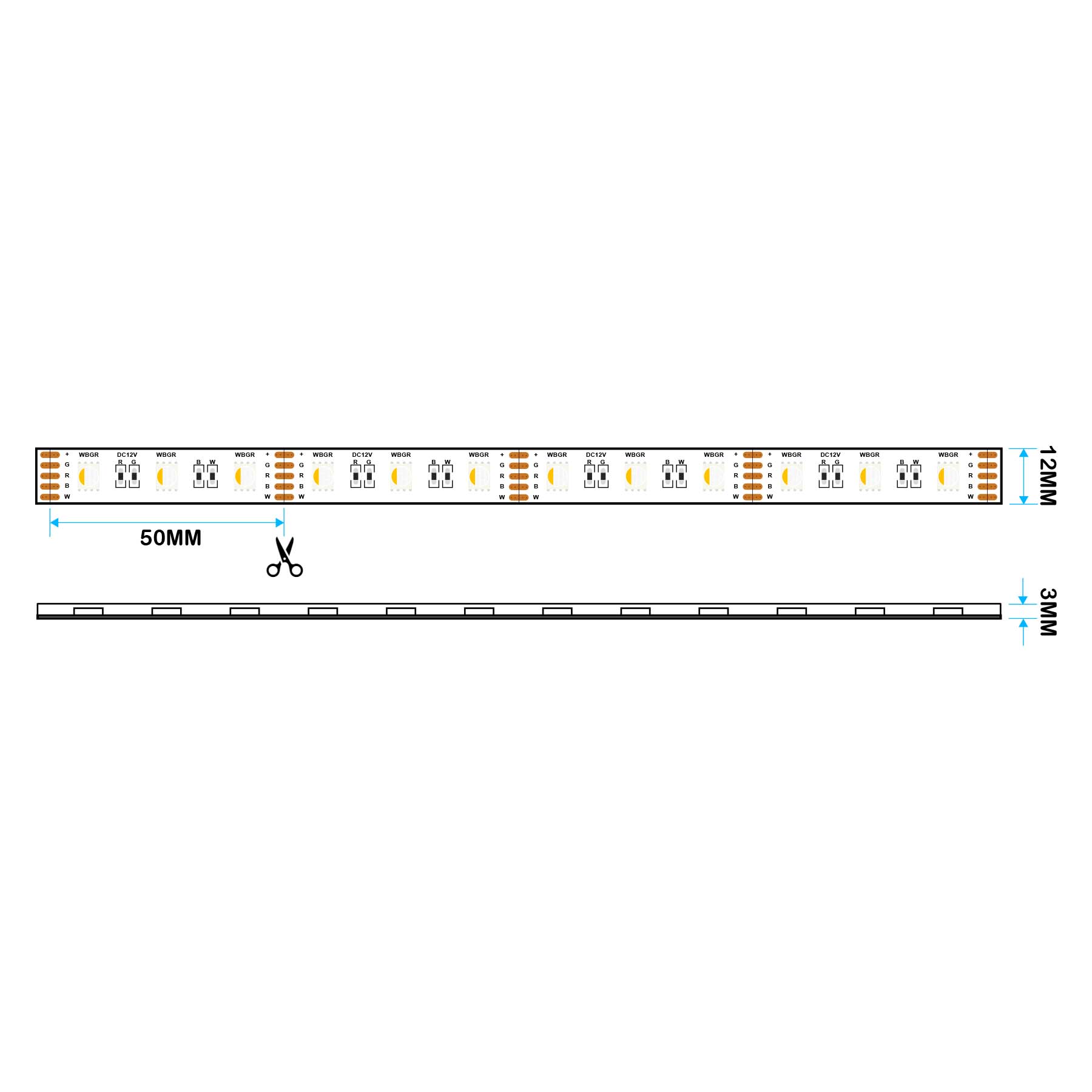  LED 5050 Strip Light, 5M Reel, IP44, 12V, 60 LEDs/M, RGB+Warm White