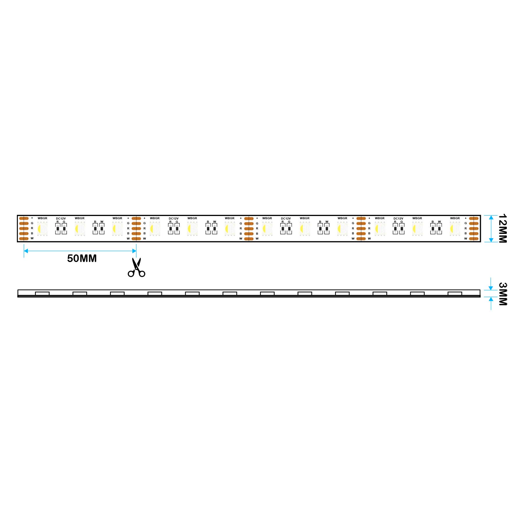 LED 5050 Strip Light, 5M Reel, IP44, 12V, 60 LEDs/M, RGB+White