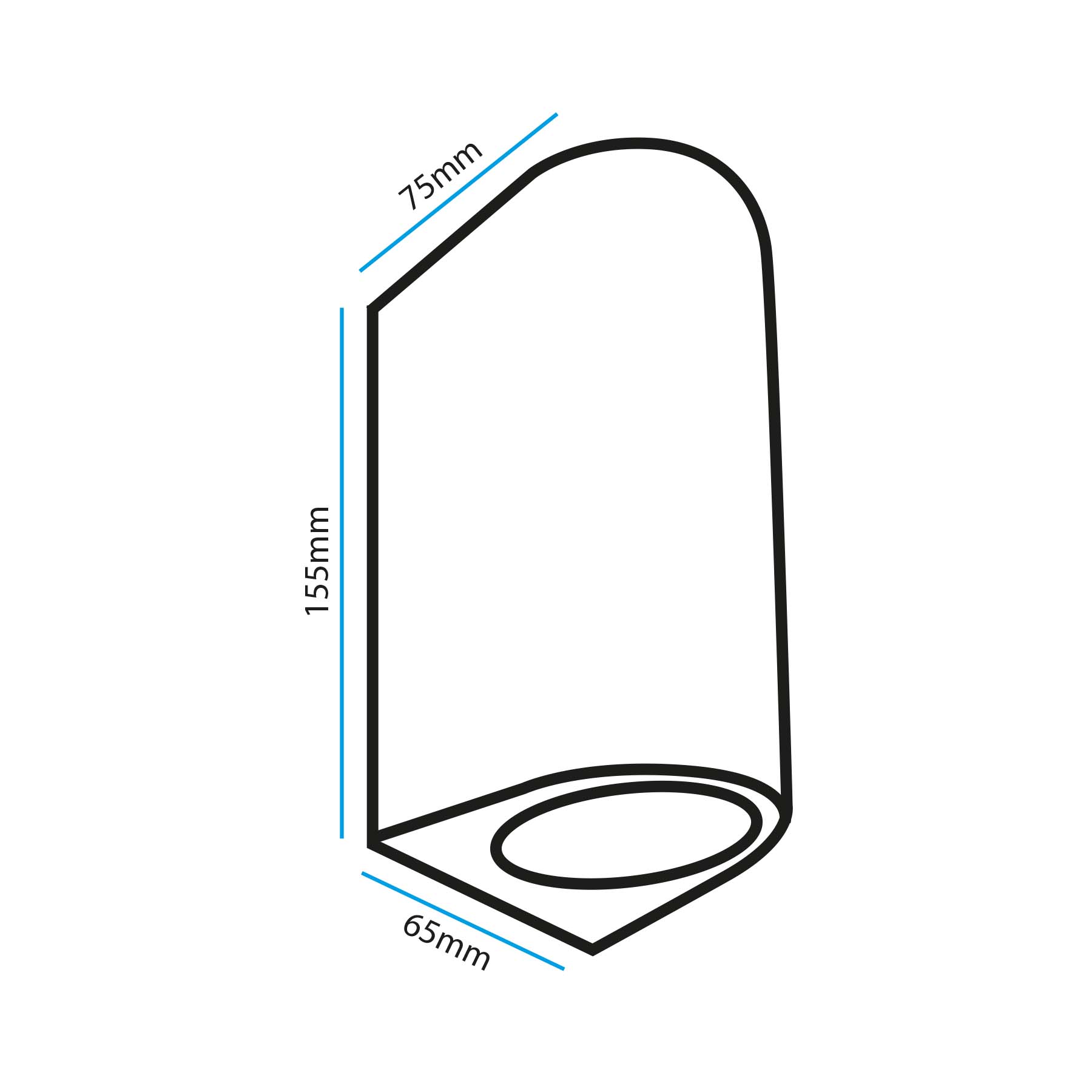 10W Black LED Up And Down Wall Light (WL-B2-UD)