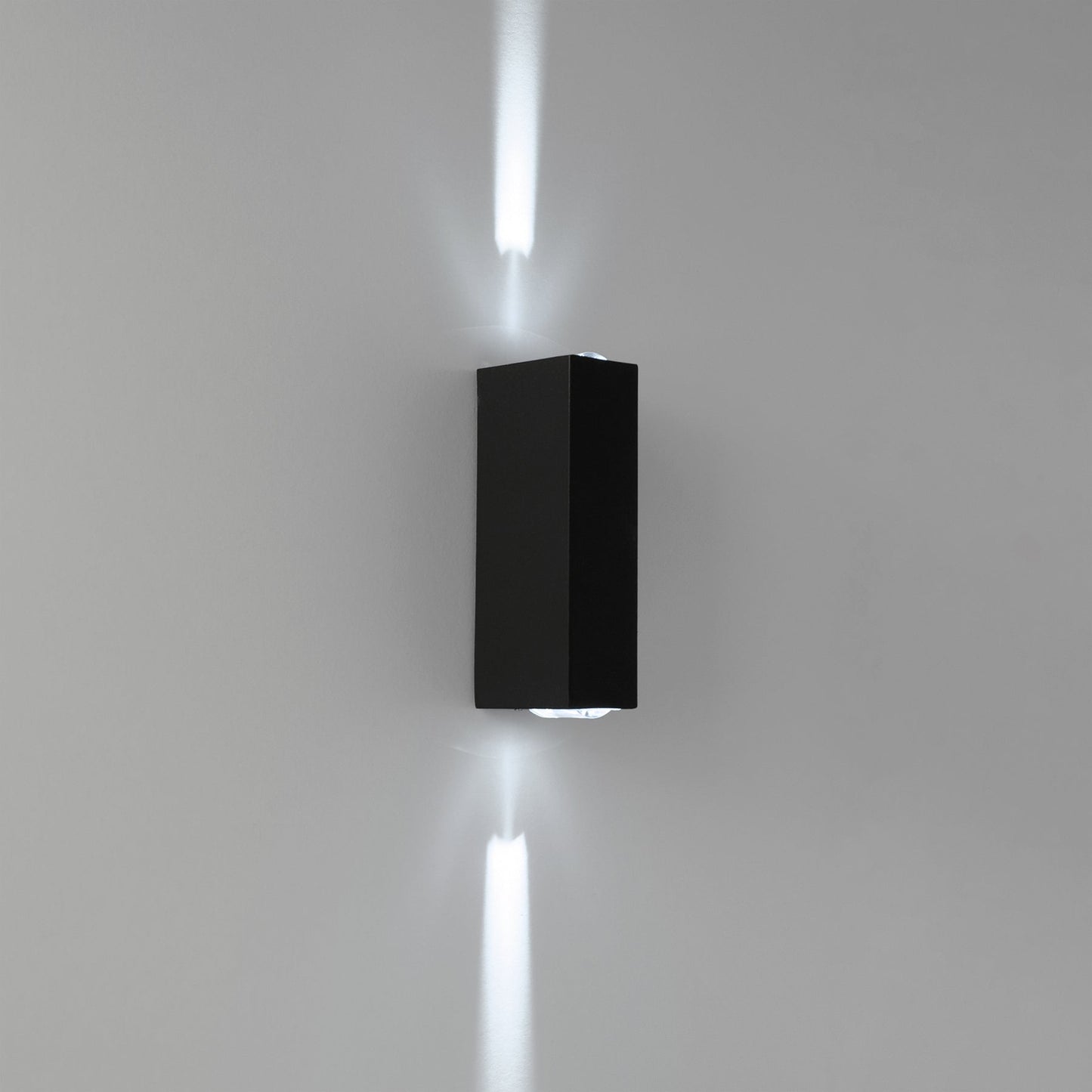  6W Black LED Up And Down Wall Light (WL-D)