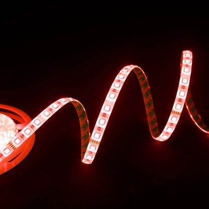  LED 5050 Strip Light, 5M Reel, IP44, 12V, 60 LEDs/M, RGB+White