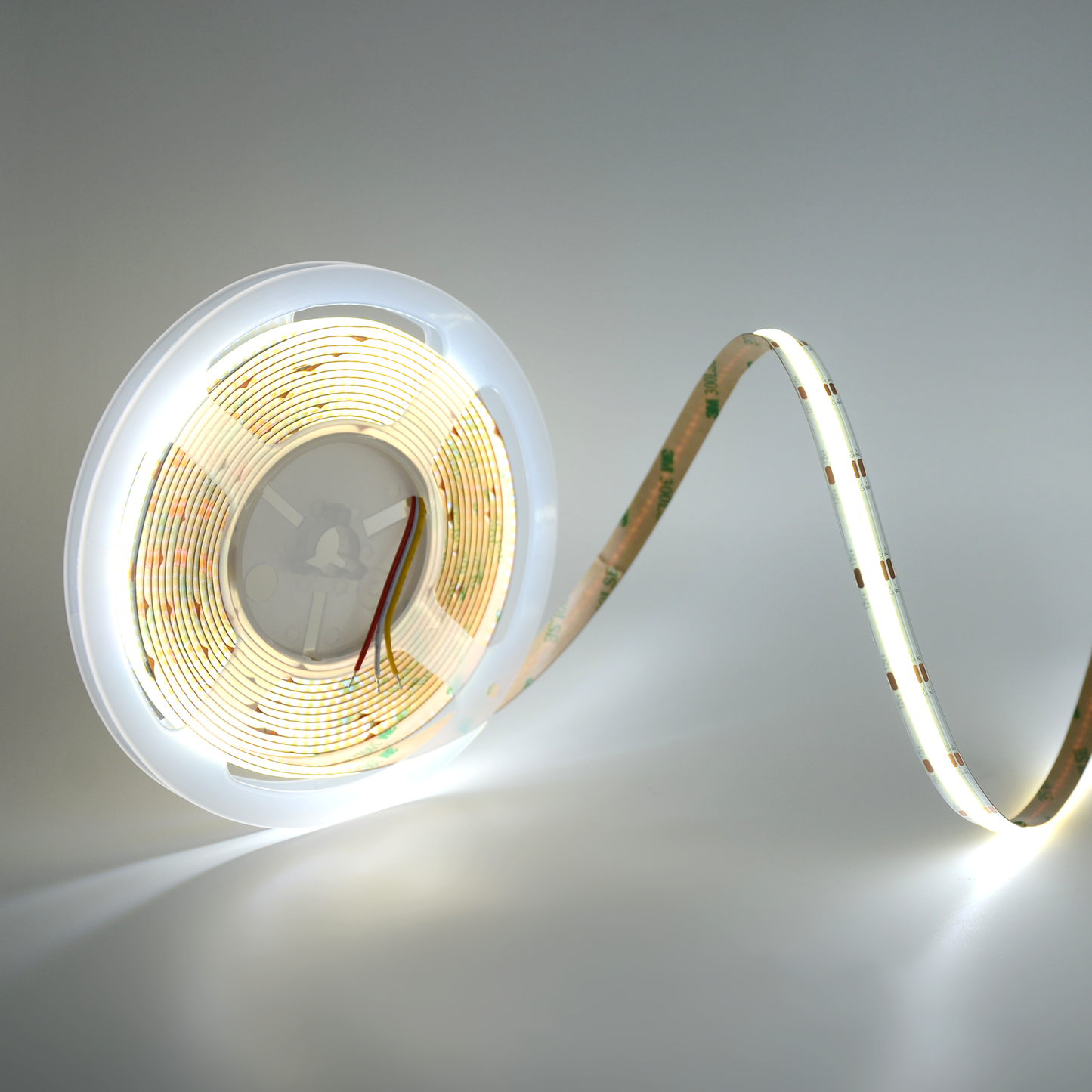  LED COB Strip Light, Seamless, 5M Reel, IP20/IP65, 24V, 10mm/12mm Wide, CCT