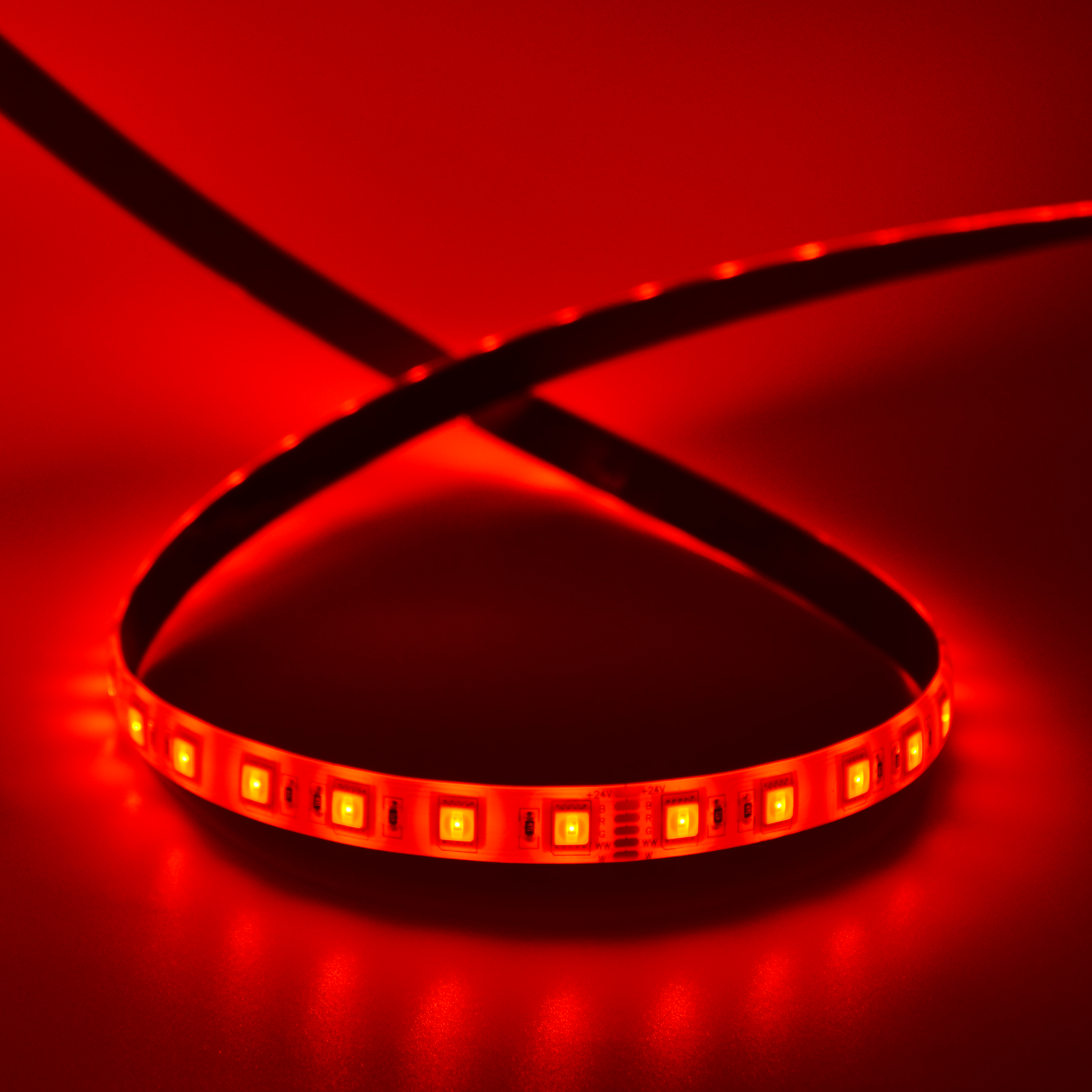  LED 5050 Strip Light, 5M Reel, IP44, 24V, 60 LEDs/M, RGB+CCT
