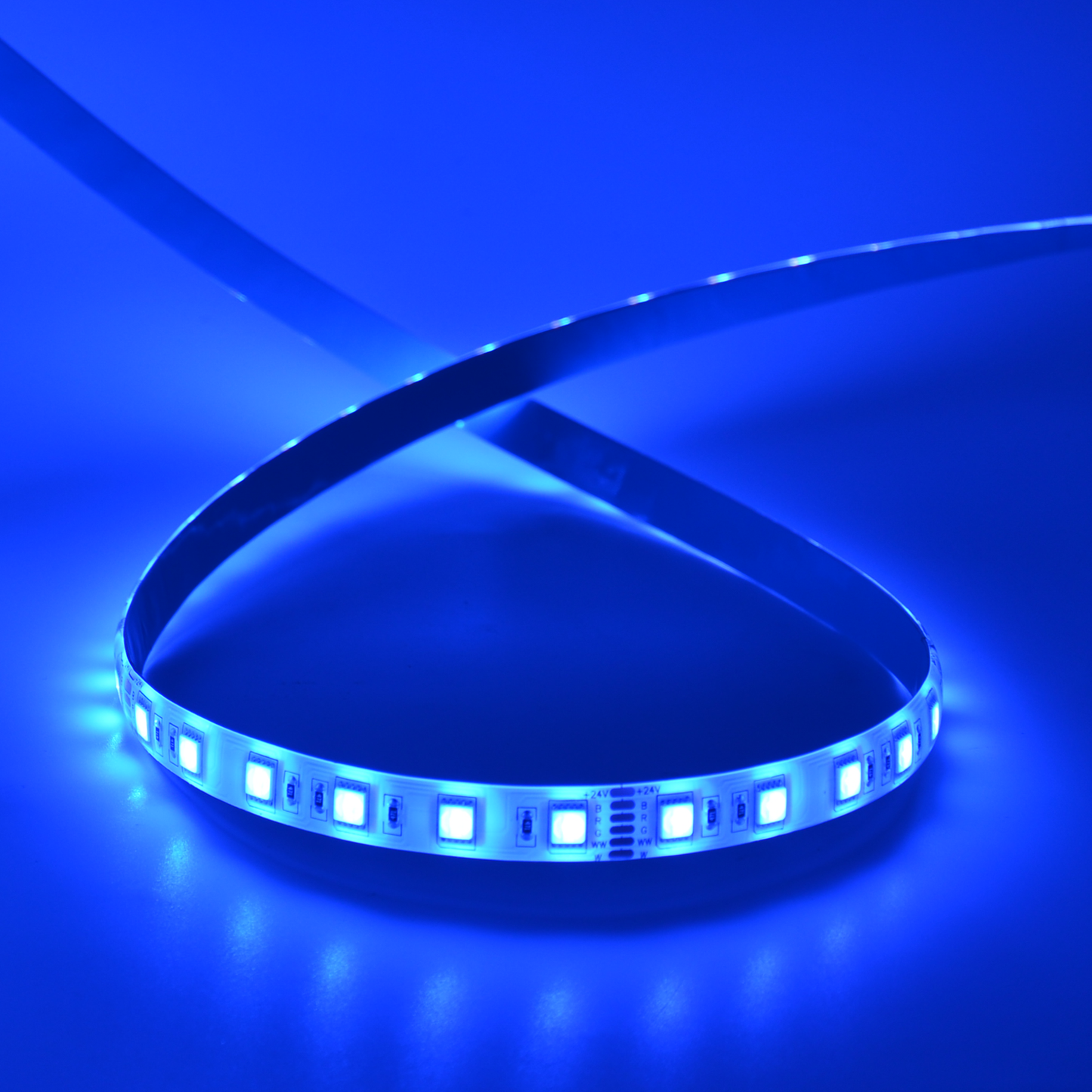  LED 5050 Strip Light, 5M Reel, IP44, 24V, 60 LEDs/M, RGB+CCT