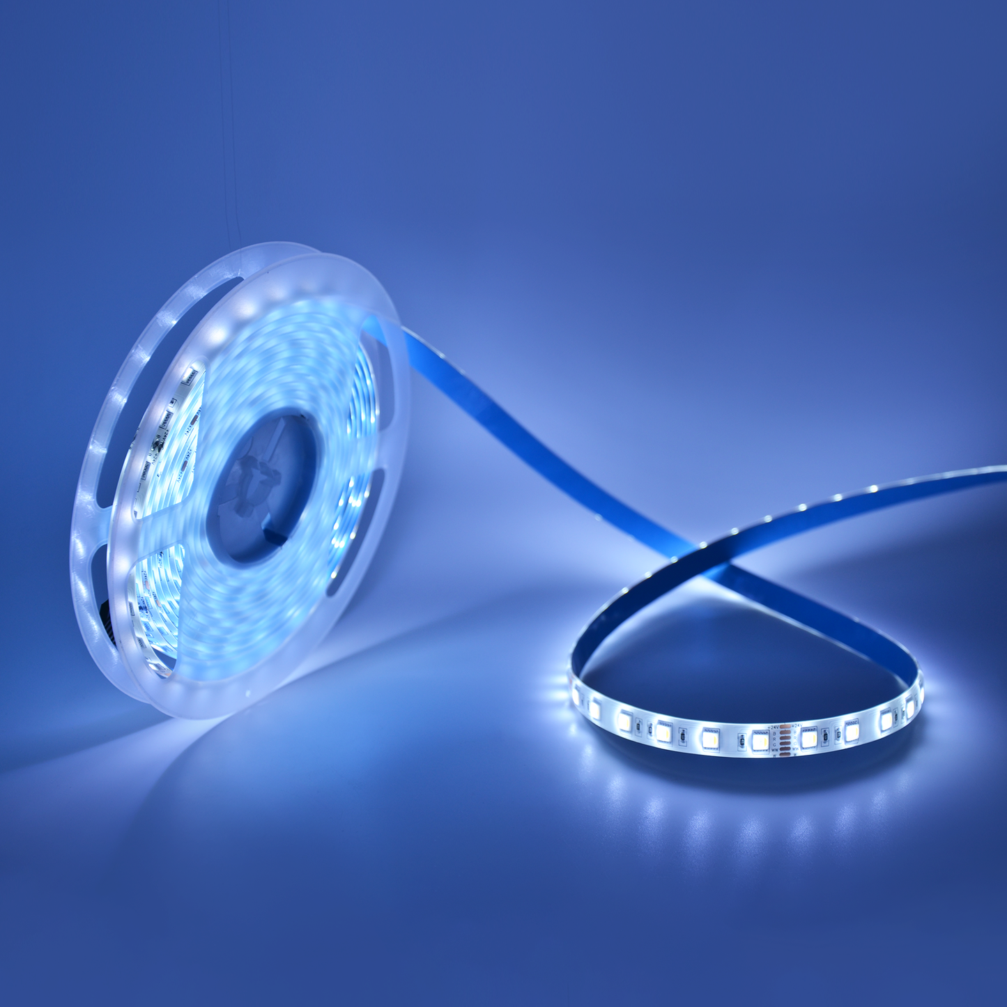  LED 5050 Strip Light, 5M Reel, IP44, 24V, 60 LEDs/M, RGB+CCT