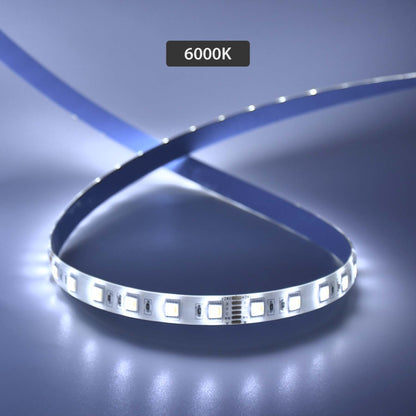  LED 5050 Strip Light, 5M Reel, IP44, 24V, 60 LEDs/M, RGB+CCT
