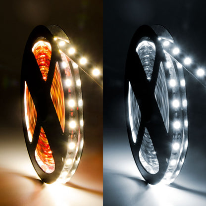  LED 5050 Strip Light, 5M Reel, IP20, 12V, 60 LEDs/M