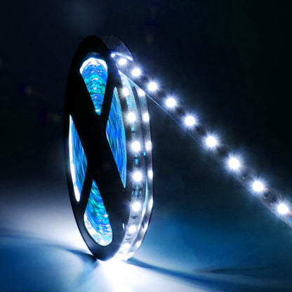  LED 5050 Strip Light, 5M Reel, IP44, 12V, 60 LEDs/M