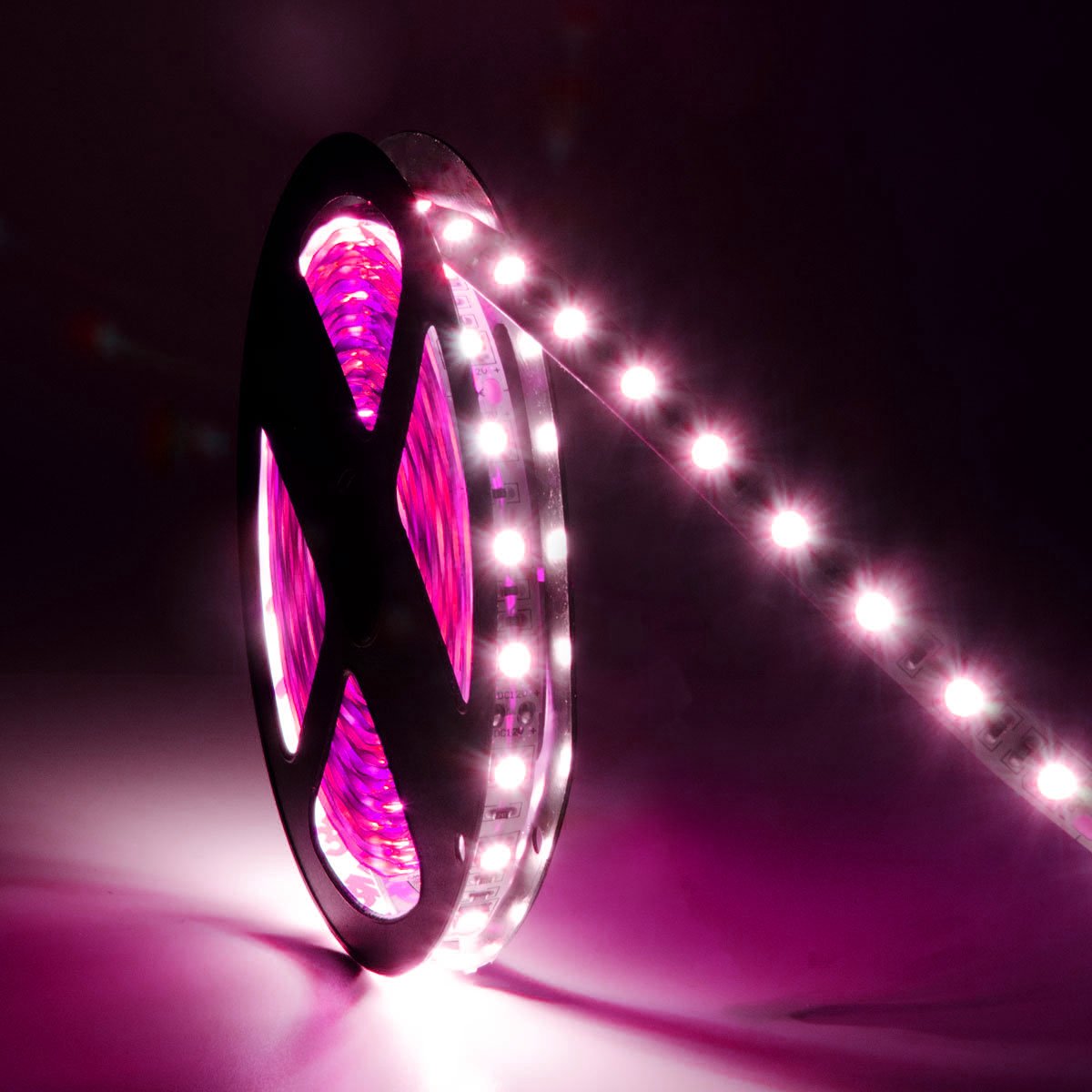  LED 5050 Strip Light, 5M Reel, IP44, 12V, 60 LEDs/M