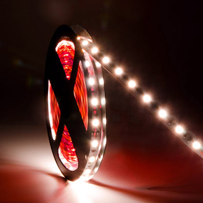  LED 5050 Strip Light, 5M Reel, IP44, 12V, 60 LEDs/M