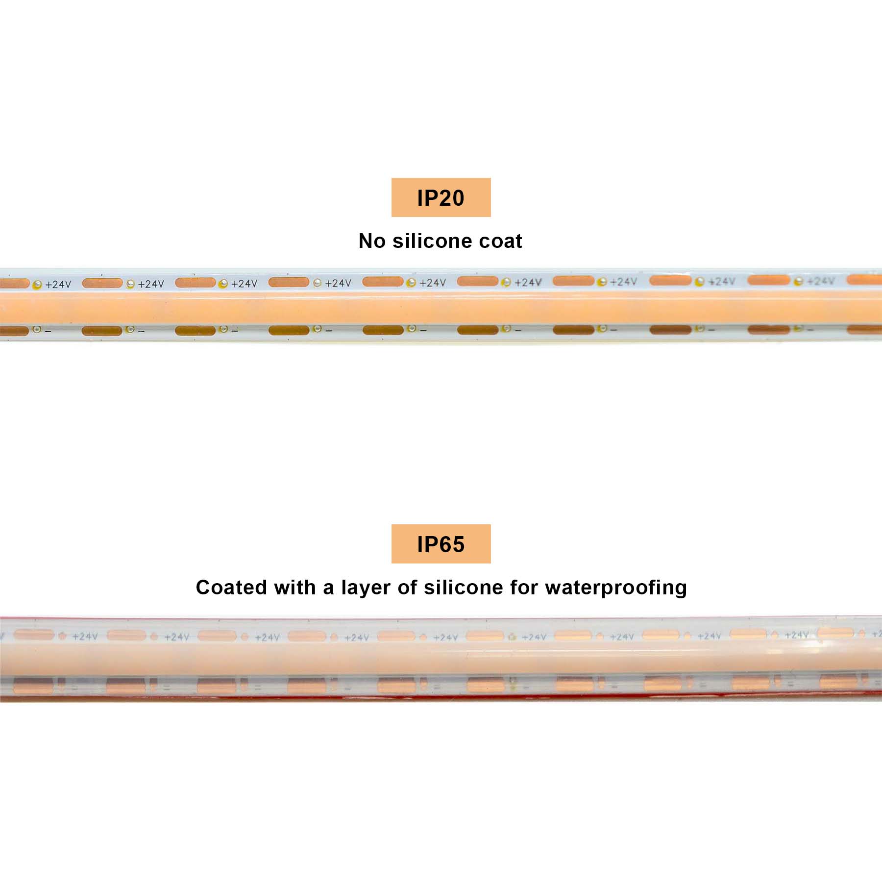  LED COB Strip Light, Seamless, 10M Reel, IP20/IP65, 24V, 1cm/Cut
