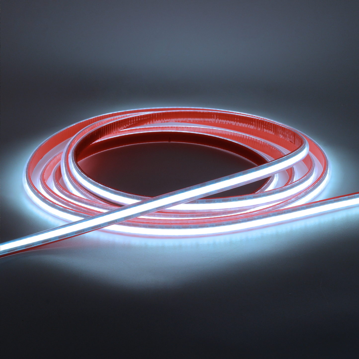  LED COB Strip Light, Seamless, 10M Reel, IP20/IP65, 24V, 1cm/Cut