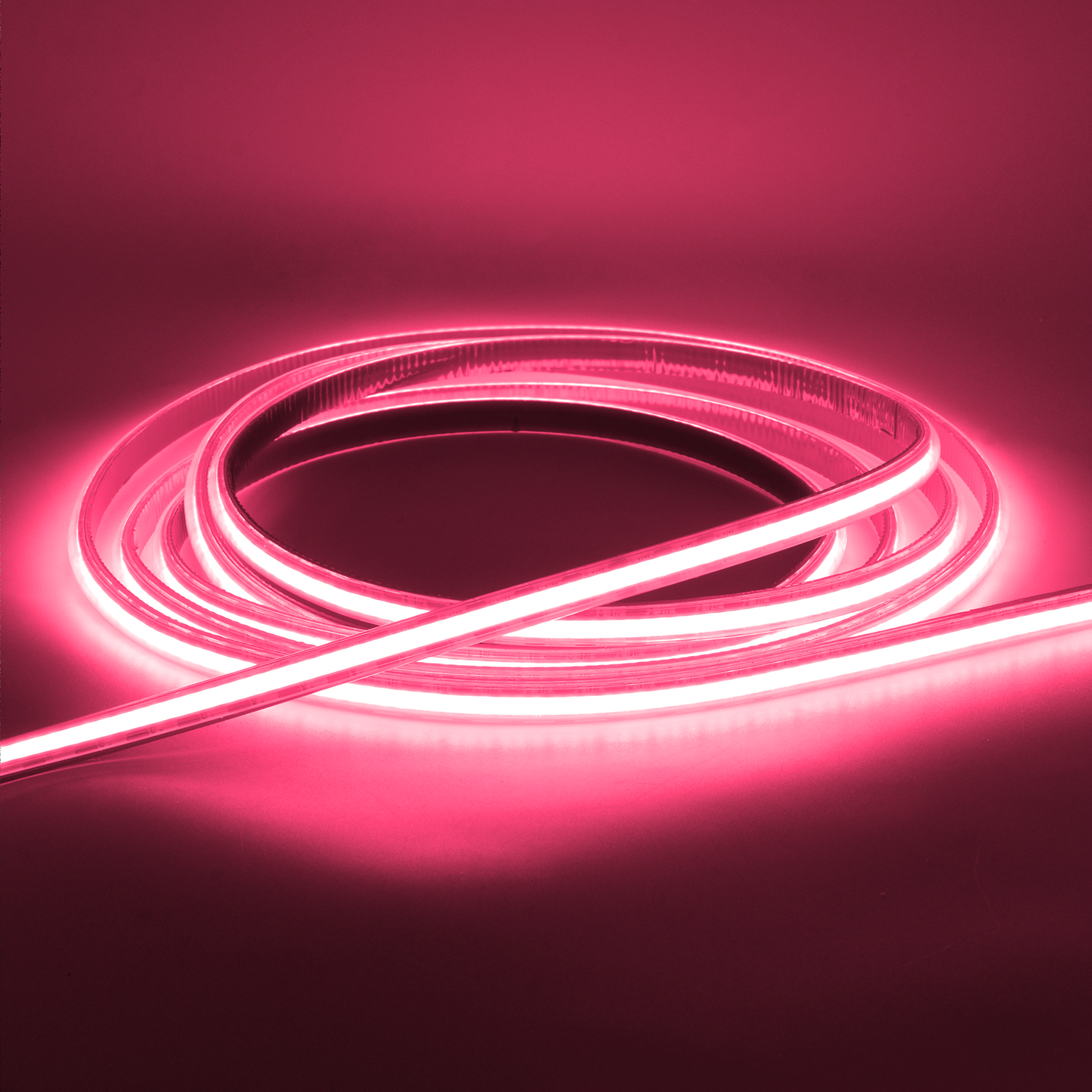  LED COB Strip Light, Seamless, 10M Reel, IP20/IP65, 24V, 1cm/Cut