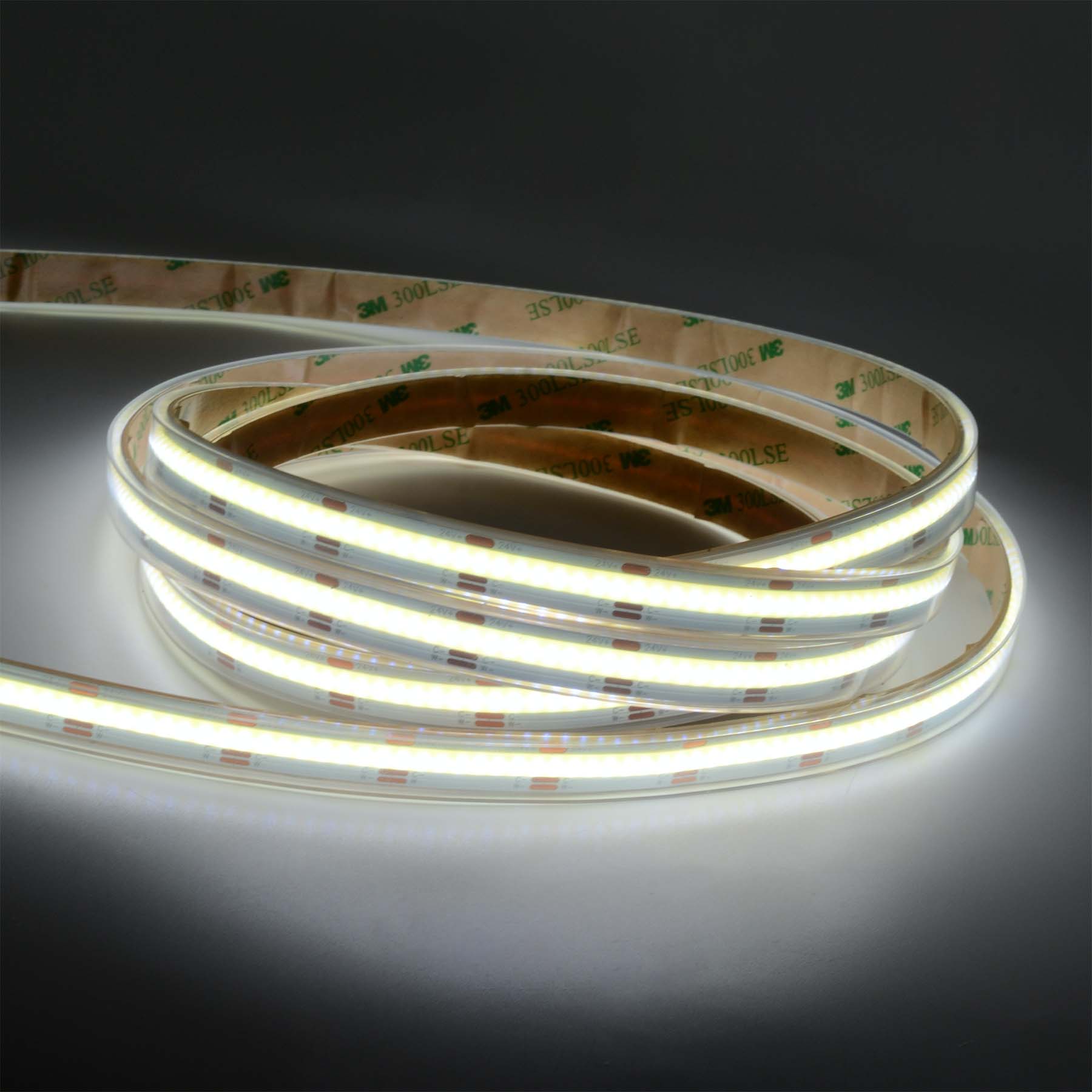  LED COB Strip Light, Seamless, 5M Reel, IP20/IP65, 24V, 10mm/12mm Wide, CCT