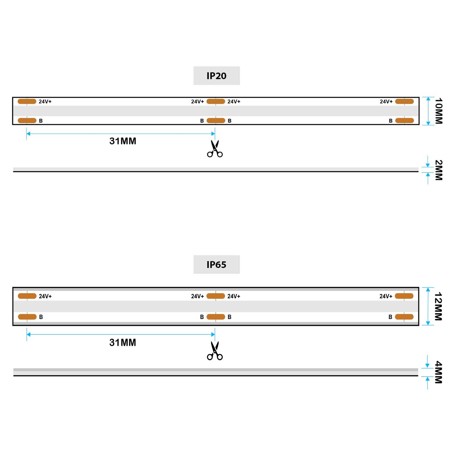  LED COB Strip Light, Seamless, 5M Reel, IP20/IP65, 24V, 10mm/12mm Wide, RGB