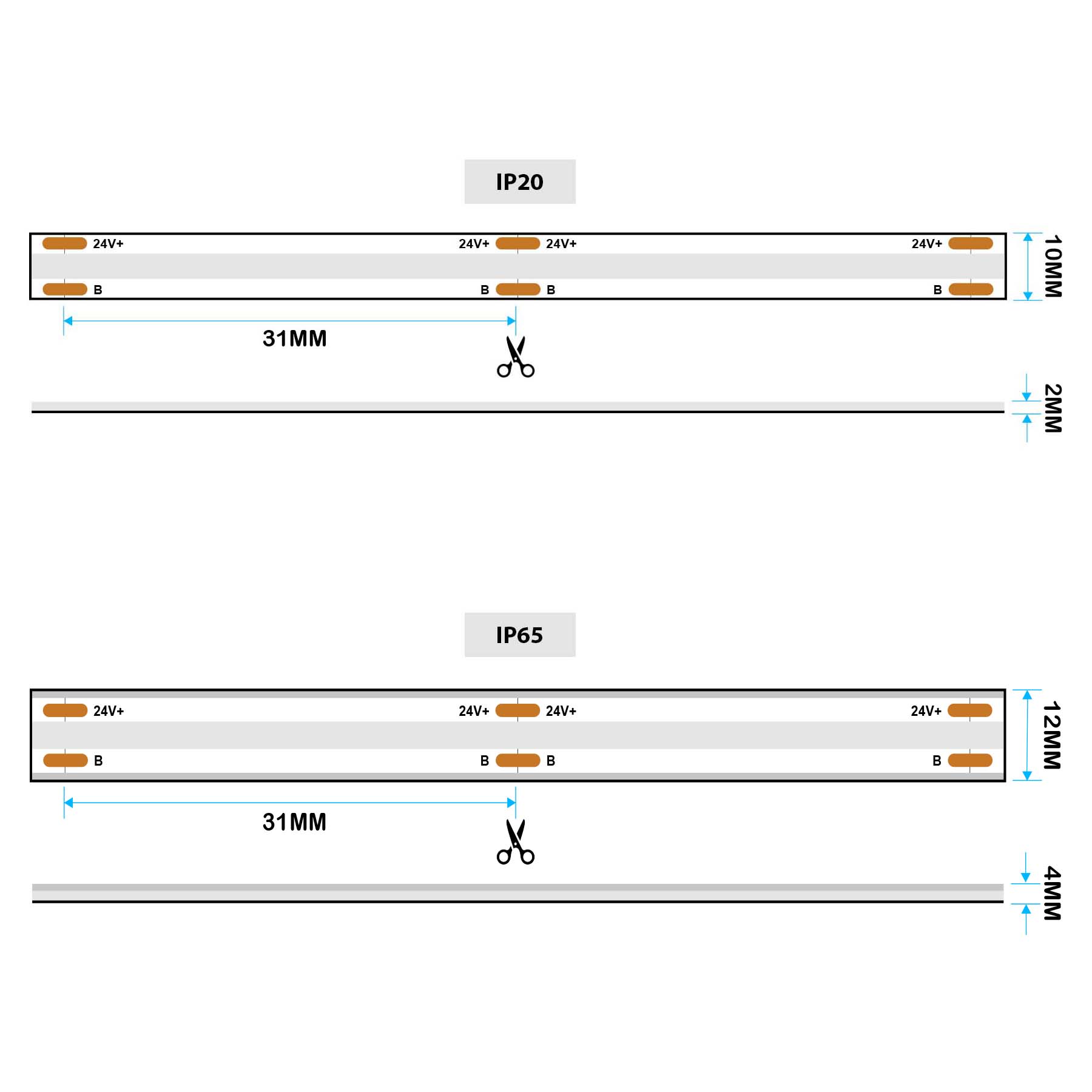  LED COB Strip Light, Seamless, 5M Reel, IP20/IP65, 24V, 10mm/12mm Wide, RGB
