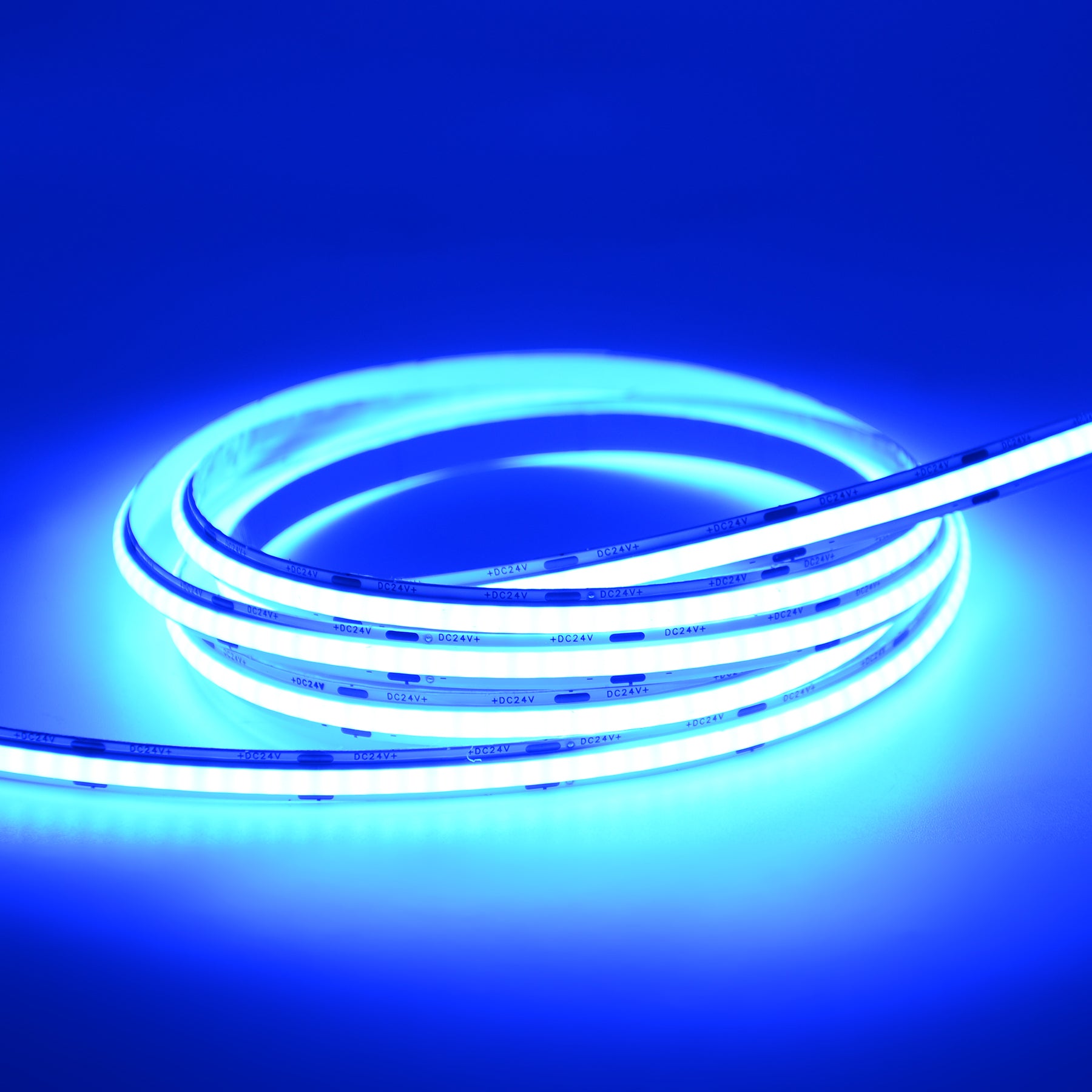  LED COB Strip Light, Seamless, 5M Reel, IP20, 24V, 8mm Wide
