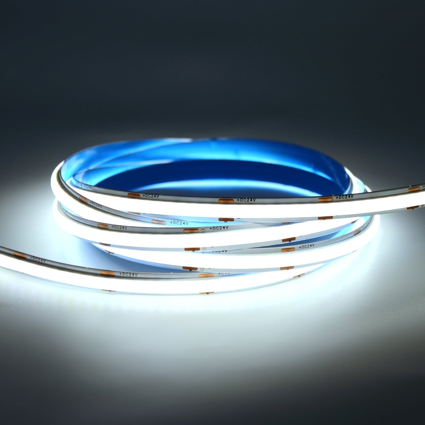  LED COB Strip Light, Seamless, 5M Reel, IP20, 24V, 8mm Wide