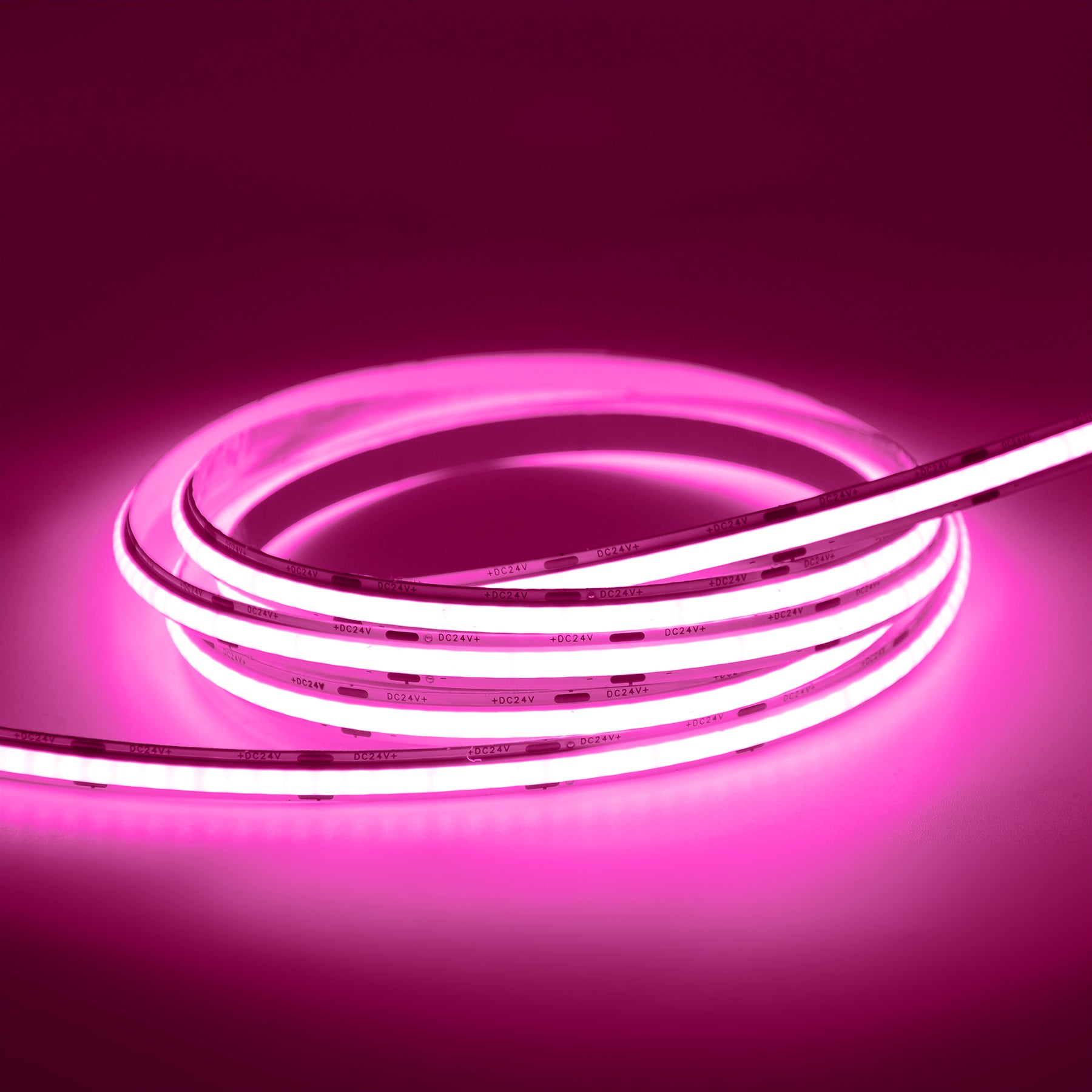  LED COB Strip Light, Seamless, 5M Reel, IP20, 24V, 8mm Wide