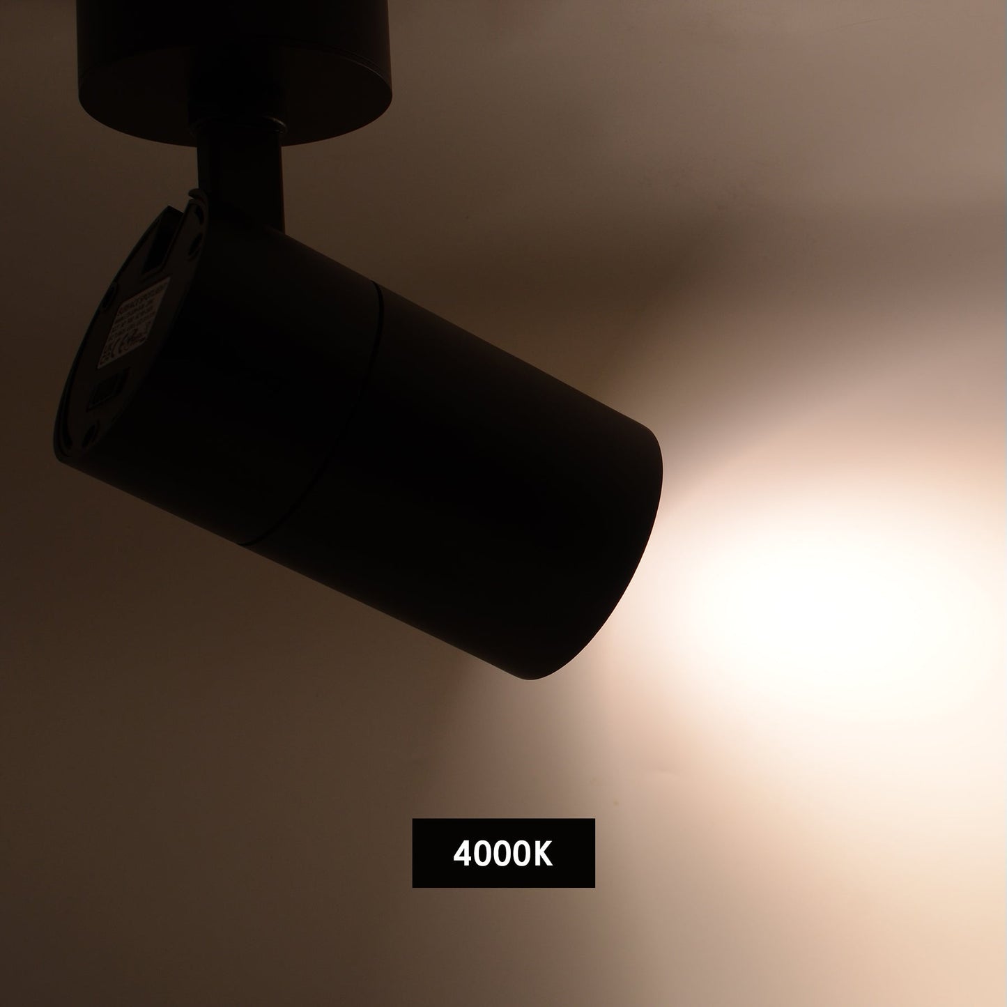  Black Dimmable LED Surface Mounted Spotlight 3CCT