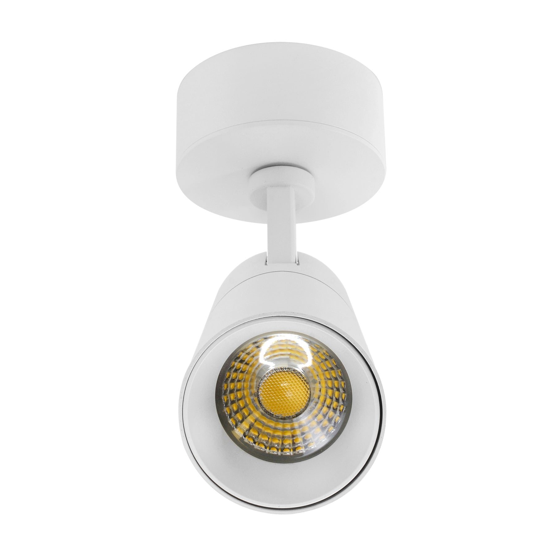  White Dimmable LED Surface Mounted Spotlight 3CCT