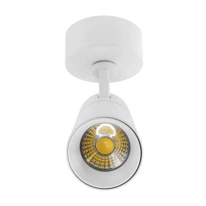  White Dimmable LED Surface Mounted Spotlight 3CCT